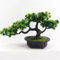 RANRAO Dekorative künstliche Pflanzen für den Innenbereich in Töpfen, lebensechte Kunstpflanzen, Bonsai, einladende Kiefer, gefälschte Grünpflanzen, Simulation Kiefernbaum