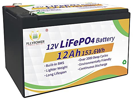 FLLYROWER Lifepo4 Batterie 12 V 12 Ah avec BMS et cellules de classe A + de 10 000 cycles profonds pour bateau, camping-car, camping, panneau solaire, appareils ménagers, etc