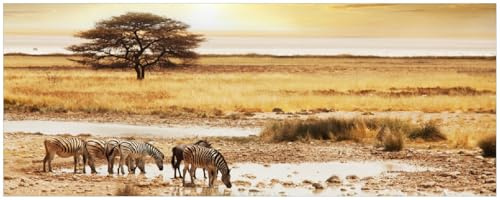 Wallario Memoboard aus Glas mit Motiv, Magnet-Tafel in 32 x 80 cm in Premium Qualität Safari in Afrika eine Herde Zebras am Wasser