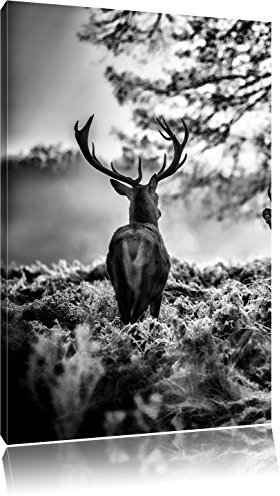 Pixxprint Hirsch Rivalen kämpfen, Größe: 100x70cm, Leinwandbild, fertig gespannt, Wandbild, Dekoration, Kunstdruck, kein Poster