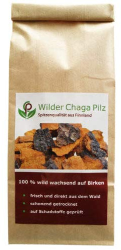 ChagaVital Chaga Pilz aus Lappland (Finnland) - Große Brocken aus Wildsammlung - 100 Gramm (6-Monats-Packung)