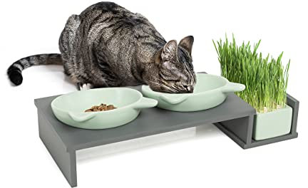 CanadianCat Company | Katzennapf erhöht, Futternapf Katze Cat Diner mit DREI Keramik Näpfen, Ø14,5 cm Fressnapf, Futterschale, Futterstation, mintgrün/grau