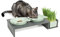 CanadianCat Company | Katzennapf erhöht, Futternapf Katze Cat Diner mit DREI Keramik Näpfen, Ø14,5 cm Fressnapf, Futterschale, Futterstation, mintgrün/grau