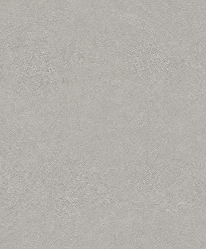 Rasch Tapeten Vliestapete (universell) Grau silberne 10,05 m x 0,53 m Concrete 520255