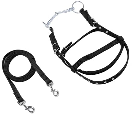 Acouto Pferde-Zaumzeug, Zügel aus Nylon, Stilvolles Pferde-Zaumzeug, Kopfstück, Reitzügel, Rot, L, Damit Ihr aus Nylon-Material Besteht und Zügel Sind (L)