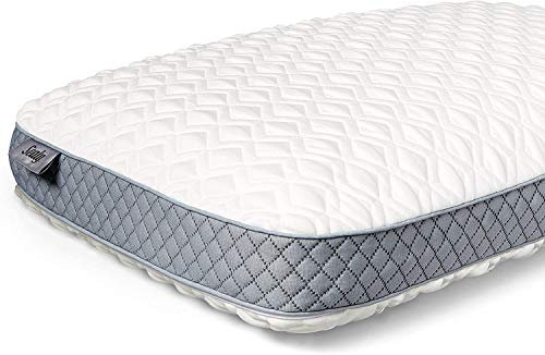 Sealy Geformtes Memory-Schaum-Kissen, 40,6 x 61 x 12,7 cm. 190,5 cm, weiß, grau