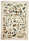 Onsinic Wand-deko Vintage Poster Bienen Insekten-Wand-Kunst-Plakat-Druck Leinwand-malerei Hauptdekorationen