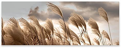 Poster Boho Pflanzen Beige Feld - 120x45 cm Panorama Querformat - OHNE RAHMEN XXL Wandposter Kunstdruck Fotoposter Wandbild Wandbilder Wand Bild auf Poster Wohnzimmer Schlafzimmer Küche