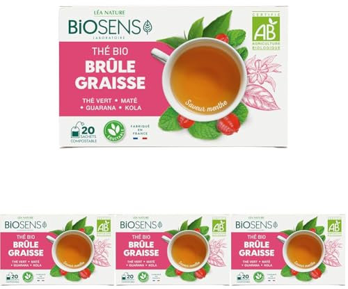 Biosens - Thé Brûle Graisses - Thé Vert, Maté, Guarana et Kola - Certifié Bio AB - Fabriqué en France - Commerce Équitable - 20 sachets (Lot de 4)