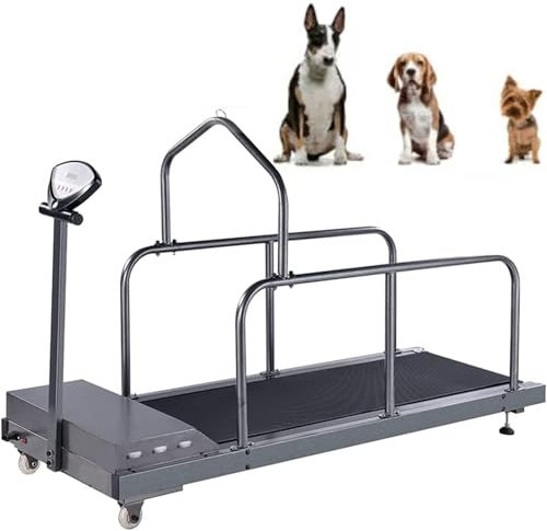 Verstellbares Laufband für große und mittelgroße Hunde, Indoor-Laufband mit Schrittzähler für Bewegung und gesundes Haustierleben, unterstützt bis zu 200 kg