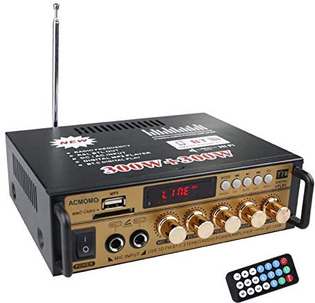 600W Amplificador Sonido, HiFi Amplificador Audio Estéreo Subwoofer Coche 2CH Pantalla LCD de Alta fidelidad, BT FM Radio Portátil Auto Home 12 V/220V