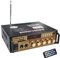 Amplificatore 600W, HiFi Audio Stereo BT Radio Portatile per Auto o Casa, con Telecomando ed Mini Display 2CH LCD, 12 V / 220 V (600W Gold)