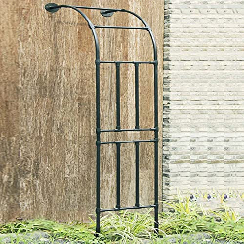 Arche De Jardin Demi Rond, Demi-Arche en Métal, Arceau Jardin Arche A Rosiers De Style Fer Forgé, Tonnelle De Jardin Robuste, pour Plantes Grimpante (Color : Noir, Size : 1.5x2.4m)