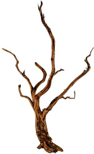 Natunae - Holz Red Spider King Wood, Moorkienwurzel Deko für Aquarium, Zierstamm, Dekoration für Terrarien S 20-30 cm