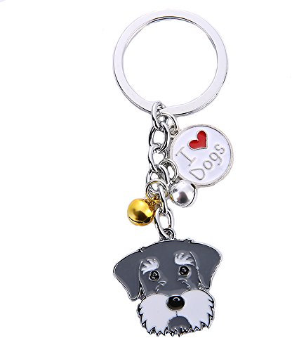 BbearT® Dog Tag Dog Tag Dog Key Ring Schlüsselanhänger, niedlicher kleiner Hund Welpe ID Tags Metall Hund Schlüsselanhänger Schlüsselanhänger Schlüsselanhänger Auto Schlüsselanhänger Tasche Geburtstag