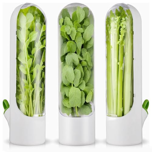 Kopinma 3Pcs Conservation D'Herbes Aromatiques pour Réfrigérateur, Boite Rangement Frigo pour d'herbes Aromatiques, Fraîcheur du réfrigérateur Stockage pour Coriandre, Persil, Asperges