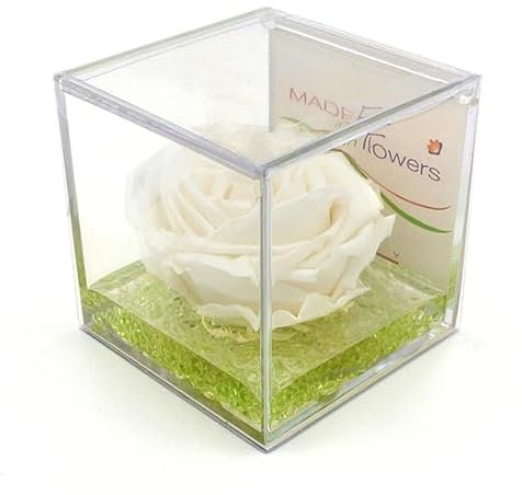 rosa vera bianca, regalo festa pensiero cerimonia, dura per sempre, stabilizzata profumata cubo 8x8x8 plexiglass