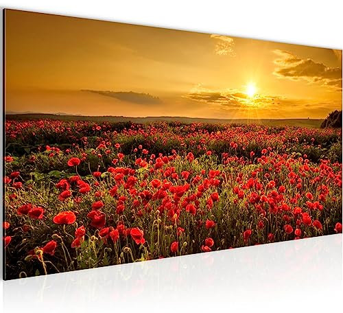 Runa Art Wandbild Mohnblumen 1 Teilig 100 x 40 cm Modern Bild auf Vlies Leinwand Blumenwiese Sonnenutergang Wohnzimmer Schlafzimmer Rot 043912a