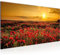 Runa Art Wandbild Mohnblumen 1 Teilig 100 x 40 cm Modern Bild auf Vlies Leinwand Blumenwiese Sonnenutergang Wohnzimmer Schlafzimmer Rot 043912a