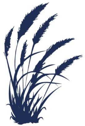 Tattwo.me – Tatouage temporaire pour adultes et enfants, dure 2 semaines, résistant à l'eau – plumeaux – Encre végétale - certificat cosmétique UE – (P0347)