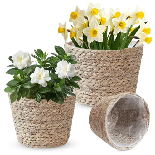 Lot de 3 pots de fleurs tressés - Panier à plantes en jonc de mer - Panier à plantes d'intérieur - Avec inserts en plastique - Pour jardin intérieur et extérieur