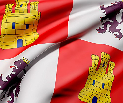 Bandera de La Comunidad de Castilla y León 85x150cm | Reforzada y con Pespuntes| Bandera de La Comunidad de Castilla y León Con 2 ojales Metálicos