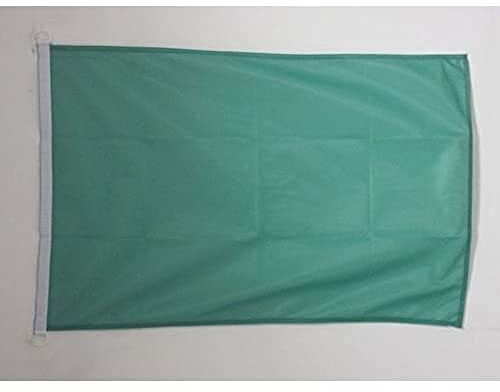 AZ FLAG Bandiera Navale Monocolore Verde 45x30cm - Bandiera Maritima Verde 30 x 45 cm speciale Nautismo, Padiglione Nautico