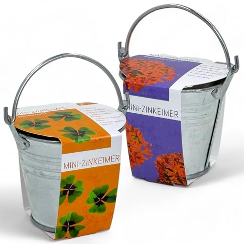 MIJOMA Mini-Zinkeimer Set mit Blumensamen - 2-teilig, Inklusive Kokosquellpad, Perfekt als Beigabe zu Geldgeschenken oder Gutscheinen, B:6,5cm H:5,5cm T:6,5cm (Glücksklee und Brennende Liebe)