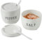 Howise 2 Pack Salt and Pepper Bowls Set, Ceramic Salt and Pepper Containers with Lid and Spoon, White Salt Pepper Holder Set, Salt Box Dish with Lid Easy to clean