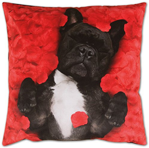Bestlivings 2er Set Kissenbezug Fotodruck Motiv in 40x40 cm, Flauschig weiche Kissenhülle im Doppelpack, Bezug mit Verd. Reißverschluss (Design: Hund)