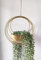 RISEON - Colgador de Plantas de Metal Dorado Bohemio, Maceta Colgante geométrica de Metal, Maceta Moderna, Soporte para Plantas de Aire de Mediados de Siglo, Maceta Minimalista para decoración de