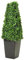 Metro Garden Set of 2 Artificial Boxwood Topiary Pyramid Cone in Black Resin Pot 55cm (1.8ft) Tabletop or Floor Standing Tree