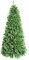 ALBERO DI NATALE 'BERLINO' h.210 cm - base 105 cm / 928 rami -