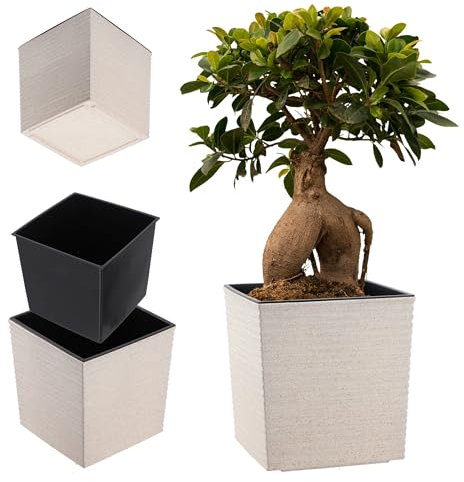 KADAX - Jardinera cuadrada de 19,5 cm, color blanco – maceta grande de plástico para interior y exterior, ideal para decoración de jardín, terraza y balcón