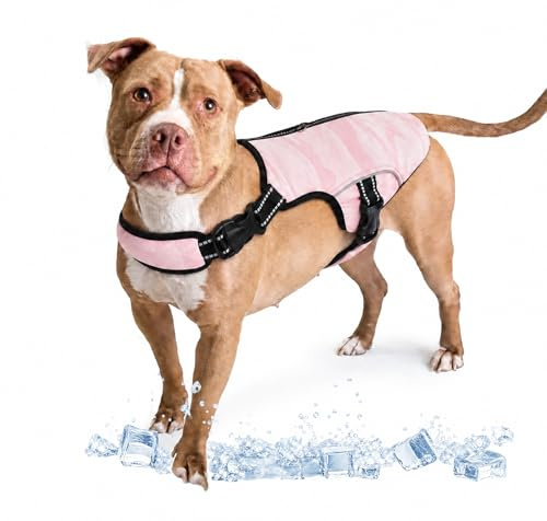 Kühlweste für Hunde, heißes Wetter, Wärmeableitung, atmungsaktive Netz-Hundejacke, Sommer, kühl, verstellbar, mit reflektierenden Streifen, für große, mittelgroße und kleine Hunde (Rosa, L)
