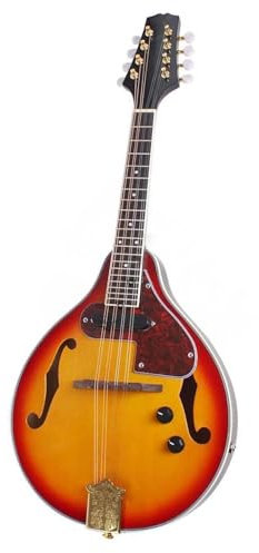 Guitarra Mandolina De Ocho Cuerdas Instrumento Musical Eléctrico Bk Instrumento De Mandolina Para Adultos(5)