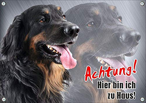 Petsigns Hundeschild - Hovawart - hochwertiges Metallschild - rostfrei und beständig, DIN A5