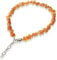 Bernsteinhalsband Bernsteinkette mit Kette für Hunde + Katzen 46-50 cm