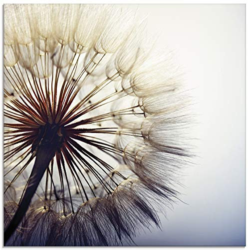 ARTland Wanddeko Glasbilder Wandbild Glas Bild einteilig Quadratisch Natur Botanik Blumen Pusteblume Blüten Frühling Modern T4RE