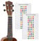 TIGER UKE-2-STICKER Ukulele Noten-Sticker - Farbcodierte Griffbrett-Sticker - 2er Pack