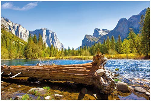 Wallario Glasbild Baumstamm im Fluss zwischen Bergen und Wäldern - 60 x 90 cm Wandbilder Glas in Premium-Qualität: Brillante Farben, freischwebende Optik