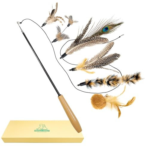 Pawfect Family® Interaktives Katzenspielzeug Set - Katzenangel mit Holzgriff und 6 Federn- oder Plüsch- Anhänger - Skalierbare/Ausziehbare Stange für Katzen