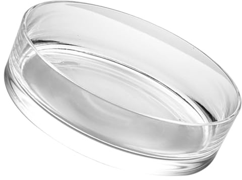 WRITWAA Vase Cylindre Large en Verre Pot Hydroponique Transparent 20X20X8 CM pour Culture de Nénuphars et Bol Poisson Rouge Décor Maison