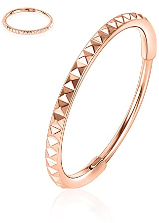 AROWRO 316L Chirurgenstahl Klappnasenringe Hoop 20G 18G 16G Nahtlose Piercingringe für Nase Septum Knorpel Helix Tragus Conch Rook Daith Lobe Durchmesser 6 mm bis 12 mm