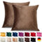 Emilie-Textil 2er Set SAMT Kissenbezug, Decorative Kissenhülle, Sofakissenbezug mit Verstecktem Reißverschluss, 14, Größen 40X40 / 45X45 / 50X50cm (2, Caramell, 45X45)