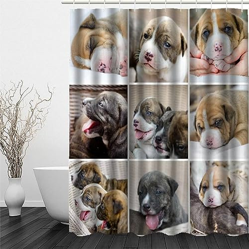 VIMOOR 120 x 180 cm Anti-Schimmel Duschvorhang Pitbull Polyester Stoff Wasserdicht Duschvorhänge Tier Waschbar Badewanne Shower Curtains Anti-Bakteriell mit 12 Haken Badvorhang