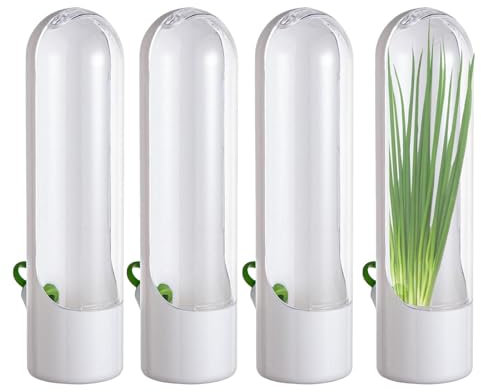 Coriandolo Keeper – Conservatore di erbe aromatiche – Barattolo per erbe aromatiche durevole | 4 contenitori organizer, contenitore ermetico di coriandolo, contenitore di coriandolo fresco per Ro