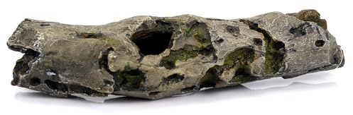 CLASSIC Tunnel Branch Swim Through Aquarium Ornament – 300 × 70 × 105 mm | Hand-Painted Resin Tunnel Hide for Freshwater Fish Tanks