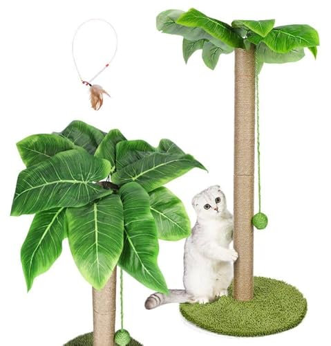 HEVOL Rascador para Gatos, 85cm Arbol para Gatos, Rascador Gatos Interior para Gatitos y Gatos Grandes, Poste Rascadors para Gatos con Poste de Sisal y Bola Colgante y Base, Envía 1 Juguete de Plumas