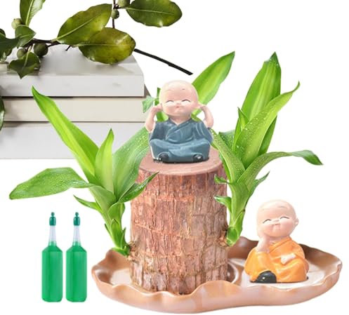 en bois brésilien, en bois porte-bonheur avec 2 statues de moines, hydroponique en bois brésilien, avec solution nutritive, facile à